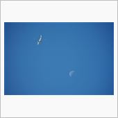 都城上空を通過する飛行機