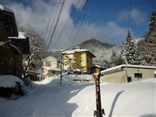 ８週ちょいでお正月