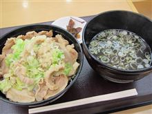 今日のブランチは、佐野SA「みかも」男飯 980円