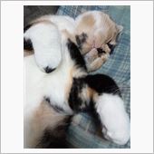 残念なお知らせ(゜ロ゜ノ)ノ