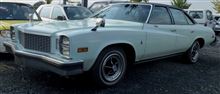 &#39;76 Buick Regal Sedan 2 