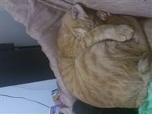 帰りたくても、帰れへんねん♪帰りたくても、帰れへんねん♪