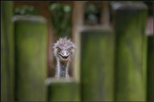 土用期間はトリプルチェック位の勢いで。 土用期間はトリプルチェック位の勢いで。