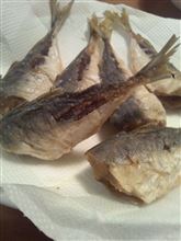 活き餌サイズも…