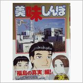 福島の真実を漫画で表現した本