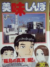 福島の真実を漫画で表現した本