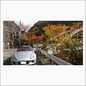 紅葉を求めていったけど・・・