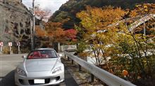 紅葉を求めていったけど・・・