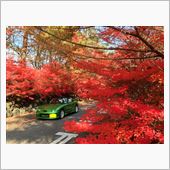 軽井沢の紅葉