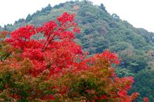 曇り空の宮ヶ瀬へ
