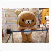 逢っちゃいました(^o^)/