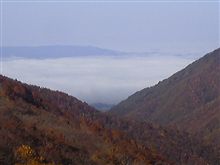 11・2