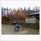 みかぼスーパー林道近辺紅葉