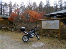 みかぼスーパー林道近辺紅葉