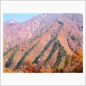 谷川岳　紅葉