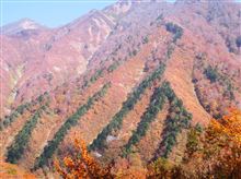 谷川岳　紅葉