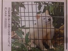 ばにら子捕獲される！…。