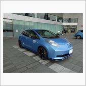 リーフNISMO パフォーマ ...