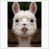 引きこもりすぎて　・・ダイエ ...