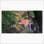 河口湖紅葉まつり
