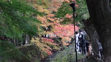 河口湖紅葉まつり