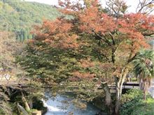 朝はもう暖房　コタツも出しました
