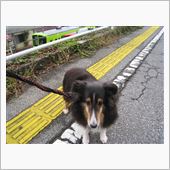 三連休中日