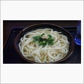 うろんとカトレア13号そして ...