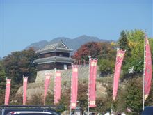 上田城址公園紅葉祭