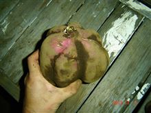 似てる