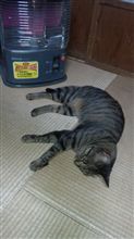 楽天イーグルス 日本一に！！