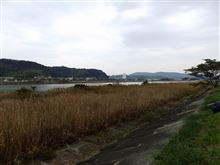 奥浜名湖、都田川河口へ