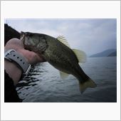 2013.10.31琵琶湖  ...