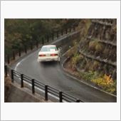 つちのこラリー観戦