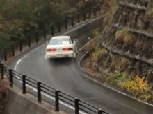 つちのこラリー観戦