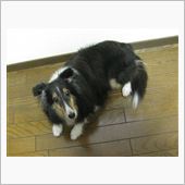 三連休最終日