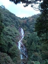 今福の滝…！