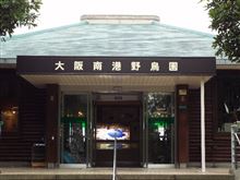 11月3日に大阪南港野鳥園に行って来ました 11月3日に大阪南港野鳥園に行って来ました