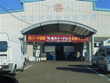 クジラだ！