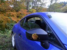 痴呆的徘徊　長野県道393号小島信濃木崎停車場線