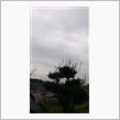 茨城県南部