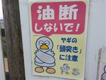 ちょっくら近所に行って来ました