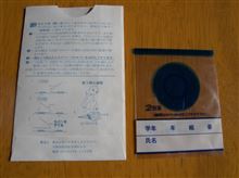 ぎょう虫検査と立派なキャットウォーク