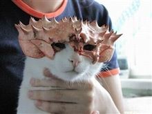 腰痛