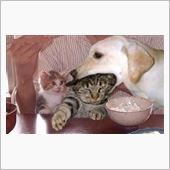 栄養取らなきゃ・・？笑　・・ ...