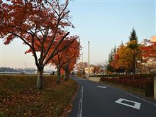 まっかな秋