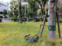 スラックライン始めました