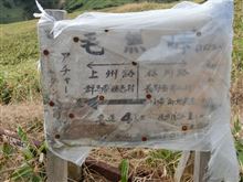 NO.803　アチャーとダンベの国境　紅葉の林道 その2