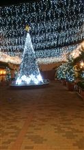 おはよー　～クリスマスイルミ　な朝～