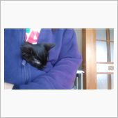 秘技ふところ猫o(^-^)o